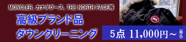 高級ブランド品ダウンクリーニング